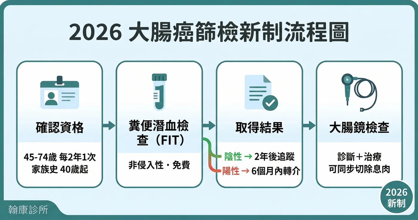 2026年大腸癌篩檢新制流程圖：45歲起每2年一次免費糞便潛血檢查（FIT），陽性者需於6個月內接受大腸鏡檢查