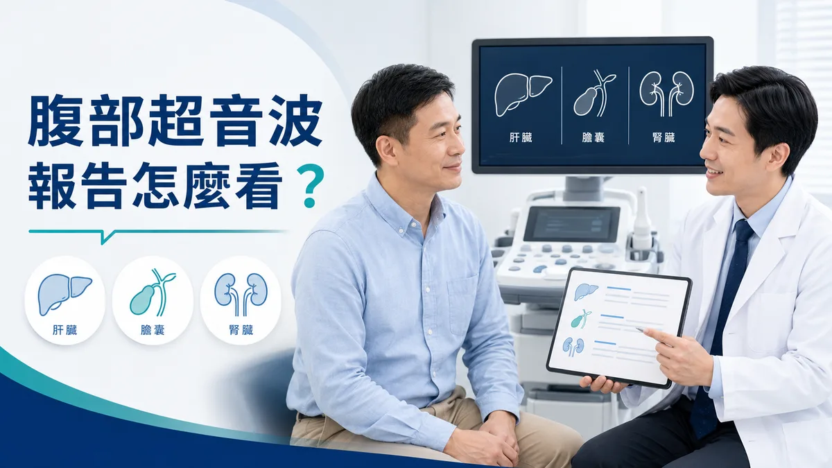 腹部超音波檢查肝臟與肝膽胰腎評估示意圖