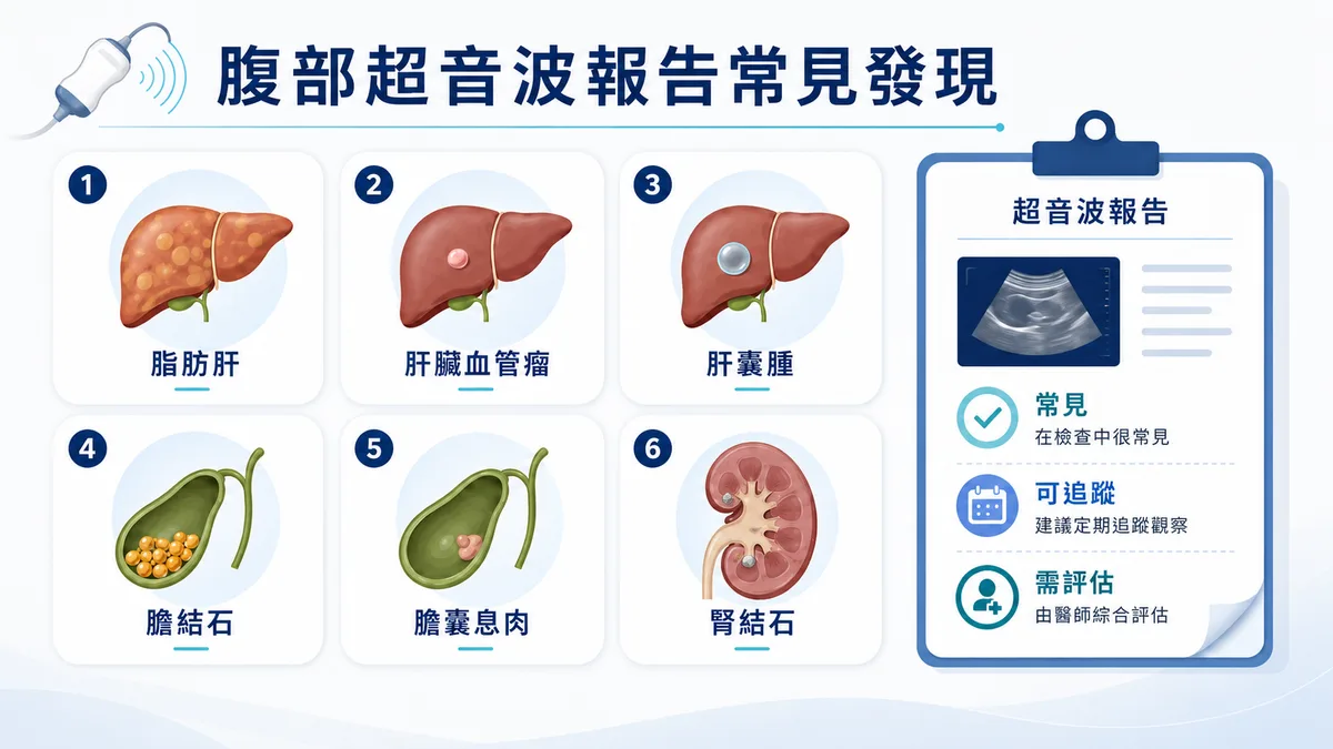 腹部超音波常見報告發現：脂肪肝、膽結石、膽囊息肉、肝囊腫、肝血管瘤、腎結石