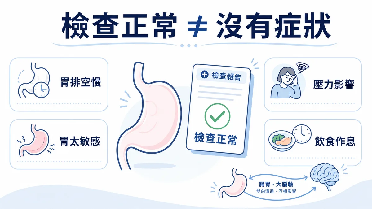 胃鏡檢查正常卻仍然胃脹示意圖：說明功能性消化不良的問題在於胃的動力與感覺，而非黏膜結構破損