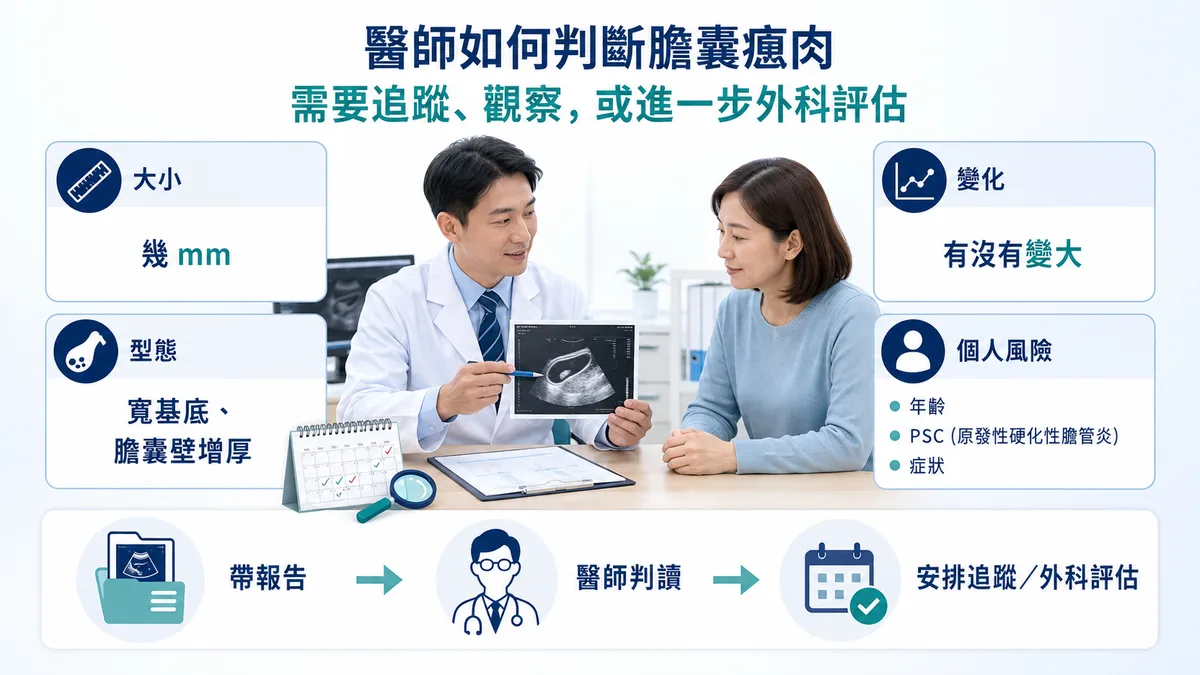 膽囊瘜肉追蹤與手術評估決策流程示意圖