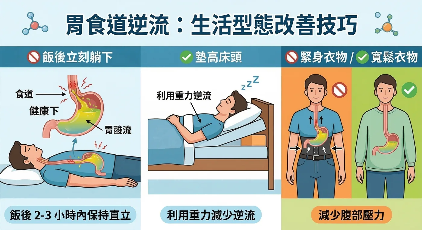 胃食道逆流生活型態改善技巧示意圖