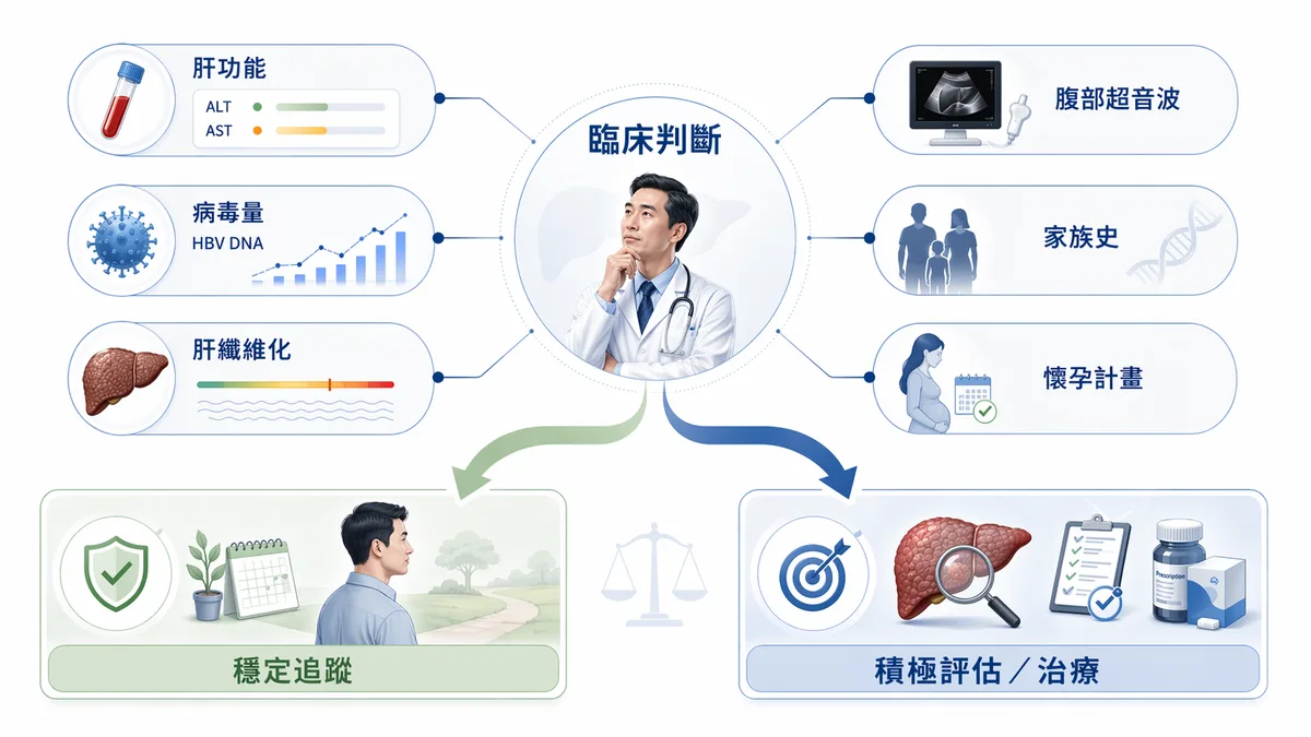 B型肝炎追蹤與治療時機比較圖，說明肝功能正常時以定期追蹤為主，肝功能異常或病毒量高時需積極評估治療