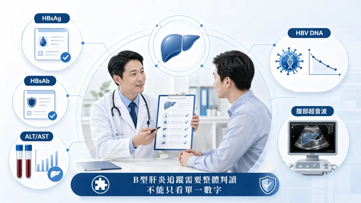 B型肝炎追蹤抽血項目說明圖，包含HBsAg、HBsAb、ALT/AST肝功能指數與HBV DNA病毒量的判讀重點