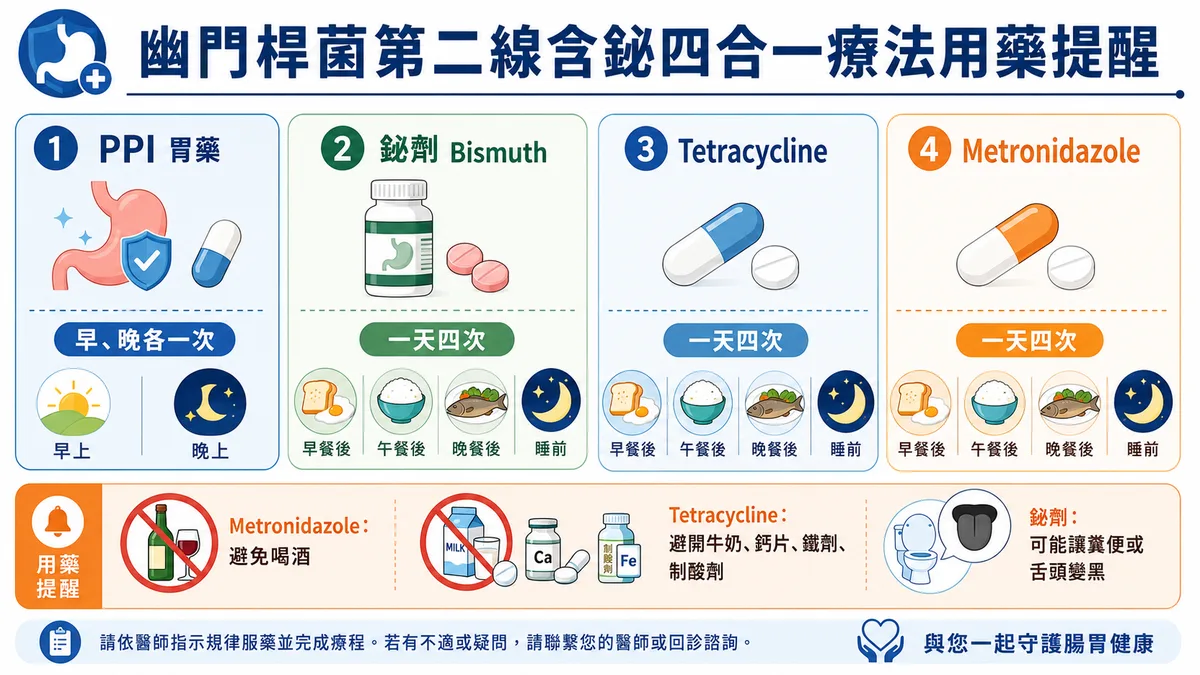 幽門螺旋桿菌第二線含鉍四合一療法用藥提醒圖：PPI 胃藥早晚各一次、Bismuth 鉍劑與 Tetracycline、Metronidazole 抗生素一天四次，標示各時段服藥與避免喝酒、不與牛奶鈣鐵同服等提醒