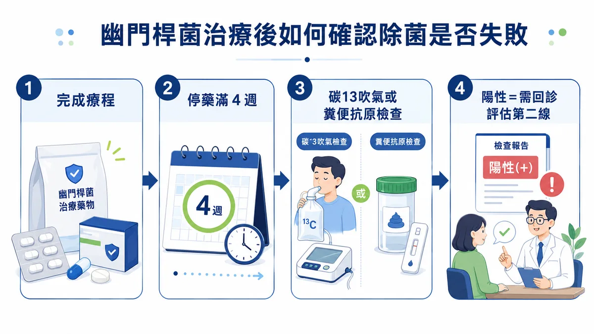 幽門螺旋桿菌治療後如何確認除菌是否失敗的流程示意圖：完成療程、停藥滿四週、做碳13吹氣或糞便抗原檢查、若仍陽性則需回診評估第二線治療