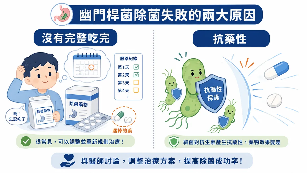 幽門螺旋桿菌除菌失敗的兩大原因示意圖：左側為沒有完整吃完療程、中途漏吃或提早停藥，右側為細菌產生抗藥性導致藥物效果變差
