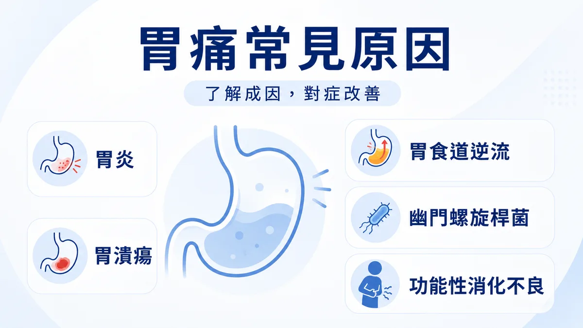 胃痛常見原因：胃炎、胃潰瘍、胃食道逆流、幽門螺旋桿菌感染示意圖